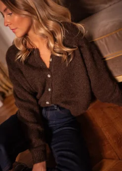 Best Sale Gilet Harris - Chocolat - DouxEasy Clothes Femme Pulls & Gilets