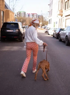 Outlet Pantalon Curtis - orange à motifsEasy Clothes Femme Pantalons