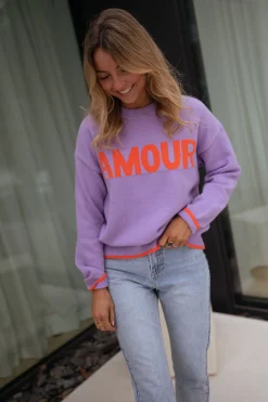 Fashion Pull Amoura - mauveEasy Clothes Femme Pulls & Gilets