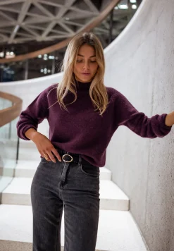 Online Pull Delya - PruneEasy Clothes Femme Pulls & Gilets