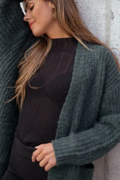 Best Pull Lucie - en maille fine noirEasy Clothes Femme Pulls & Gilets