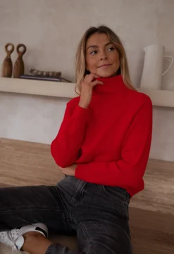 Clearance Pull Ryo - rougeEasy Clothes Femme Pulls & Gilets